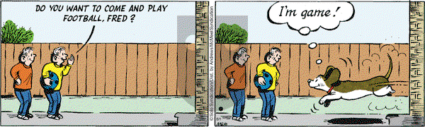 Fred Basset on Tuesday June 1, 2021 Comic Strip