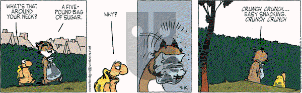Over the Hedge on Wednesday April 15, 2009 Comic Strip