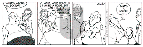 9 Chickweed Lane on Saturday October 29, 2005 Comic Strip