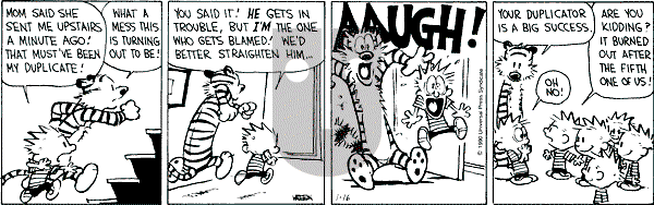 Calvin and Hobbes - Tuesday January 16, 1990 Comic Strip