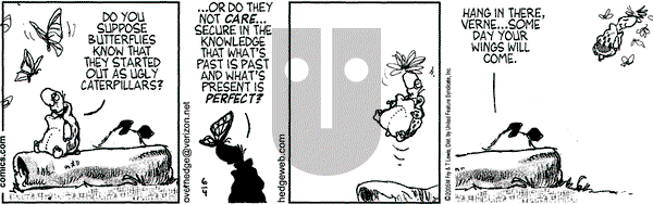 Over the Hedge on Tuesday June 21, 2005 Comic Strip