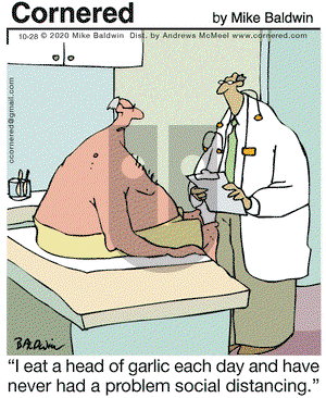 Cornered on Wednesday October 28, 2020 Comic Strip