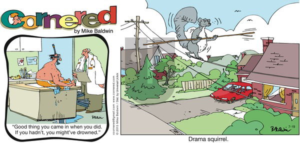 Cornered on Sunday July 19, 2015 Comic Strip