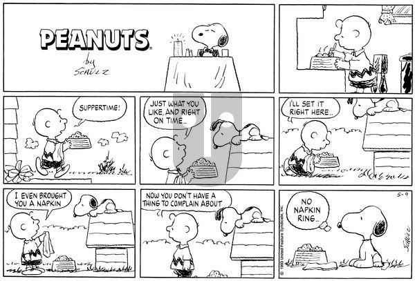 Peanuts on Sunday May 9, 1993 Comic Strip