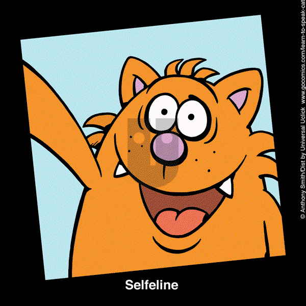 Learn to Speak Cat - Thursday July 11, 2024 Comic Strip