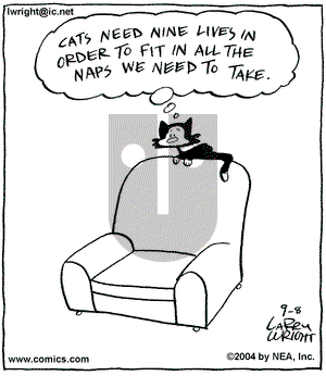 Kit 'N' Carlyle on Wednesday September 8, 2004 Comic Strip