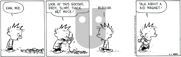 Calvin and Hobbes on Saturday April 17, 1993 Comic Strip