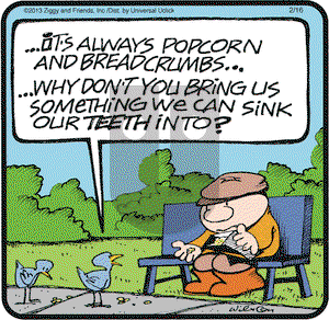 Ziggy on Saturday February 16, 2013 Comic Strip