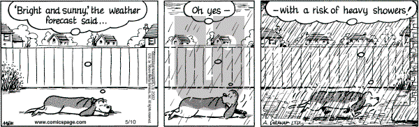 Fred Basset on Friday May 10, 2002 Comic Strip