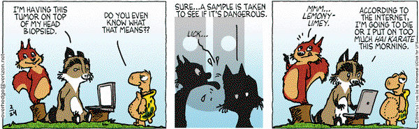 Over the Hedge on Wednesday February 24, 2016 Comic Strip