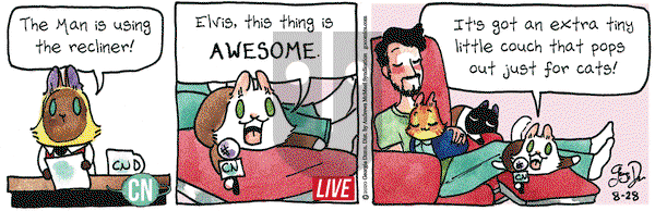 Breaking Cat News on Friday August 28, 2020 Comic Strip