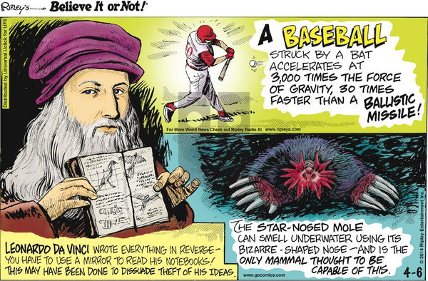 Ripley's Believe It or Not on Sunday April 6, 2014 Comic Strip