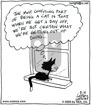 Kit 'N' Carlyle on Wednesday August 31, 2005 Comic Strip