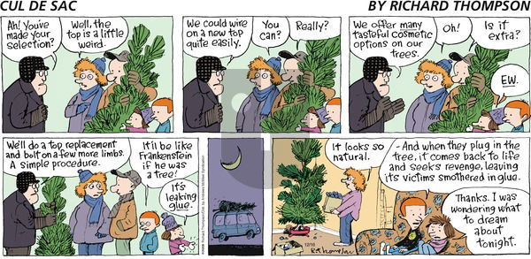 Cul de Sac on Sunday December 16, 2018 Comic Strip