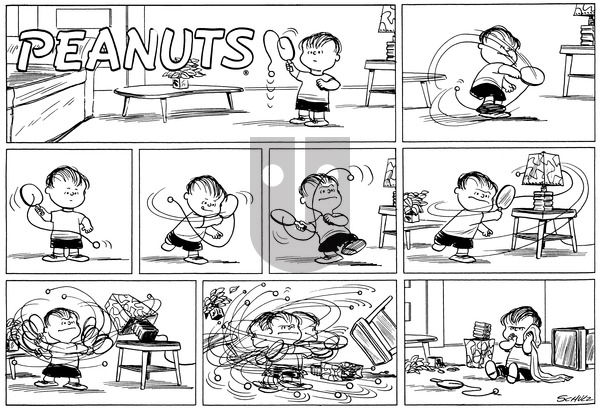 Peanuts on Sunday November 27, 1955 Comic Strip