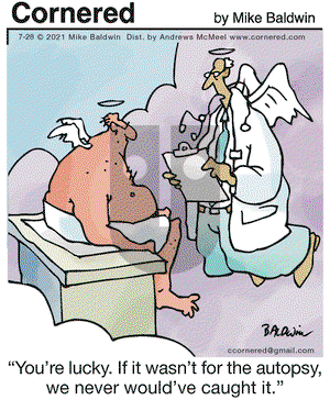 Cornered on Wednesday July 28, 2021 Comic Strip