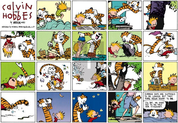 Calvin and Hobbes - Sunday August 15, 1993 Comic Strip