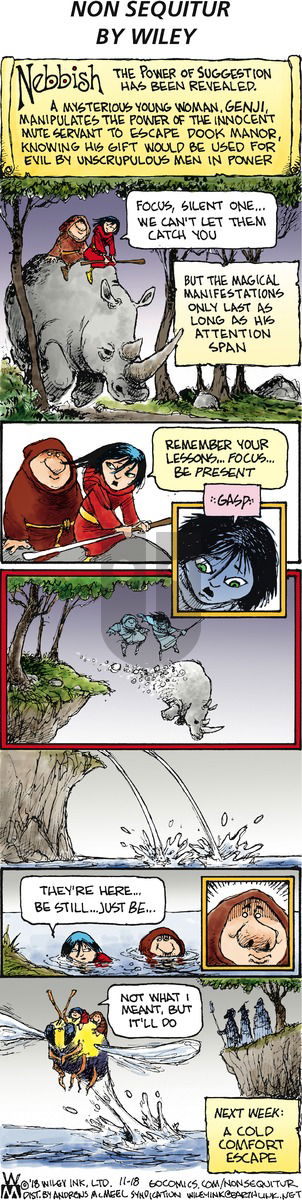 Non Sequitur on Sunday November 18, 2018 Comic Strip