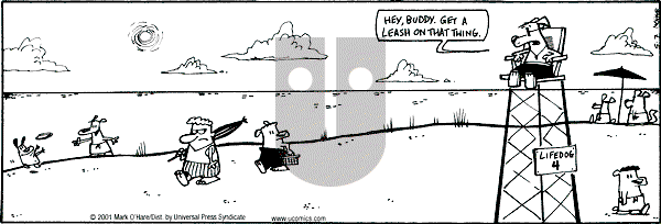 Citizen Dog on Monday April 7, 2025 Comic Strip