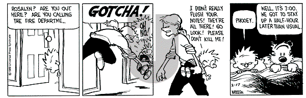 Calvin and Hobbes - Friday February 17, 1989 Comic Strip