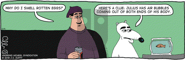 The Fusco Brothers - Friday December 6, 2024 Comic Strip