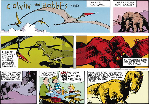 Calvin and Hobbes - Sunday July 5, 2020 Comic Strip
