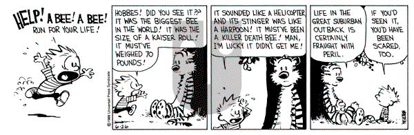 Calvin and Hobbes on Monday June 26, 1989 Comic Strip