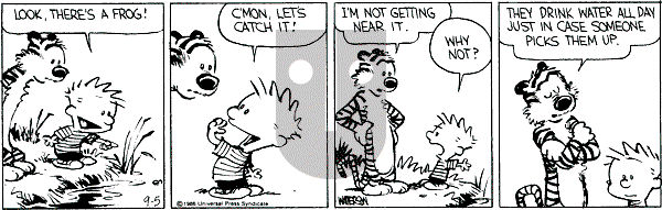 Calvin and Hobbes - Friday September 5, 1986 Comic Strip