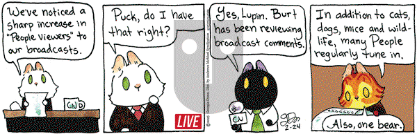 Breaking Cat News on Monday February 24, 2025 Comic Strip