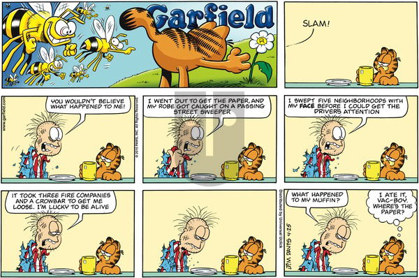 Garfield on Sunday April 25, 2010 Comic Strip