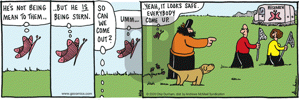 Overboard on Friday August 28, 2020 Comic Strip