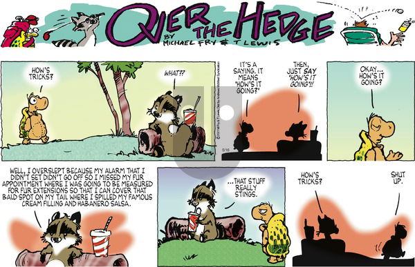 Over the Hedge on Sunday May 16, 2021 Comic Strip