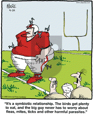 In the Bleachers on Wednesday September 29, 1999 Comic Strip