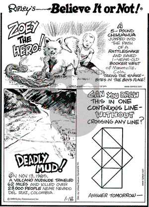 Ripley's Believe It or Not on Friday January 18, 2008 Comic Strip