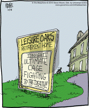 In the Bleachers on Friday October 18, 2013 Comic Strip