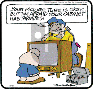 Ziggy on Saturday November 19, 2016 Comic Strip