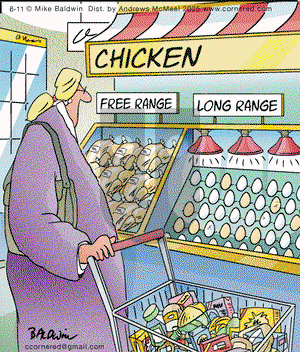 Cornered on Wednesday June 11, 2025 Comic Strip