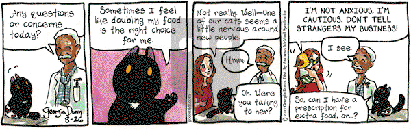 Breaking Cat News on Saturday August 26, 2017 Comic Strip