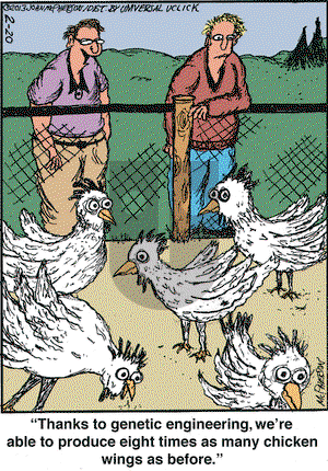 Close to Home on Wednesday February 20, 2013 Comic Strip