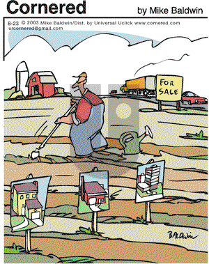 Cornered on Tuesday August 23, 2011 Comic Strip
