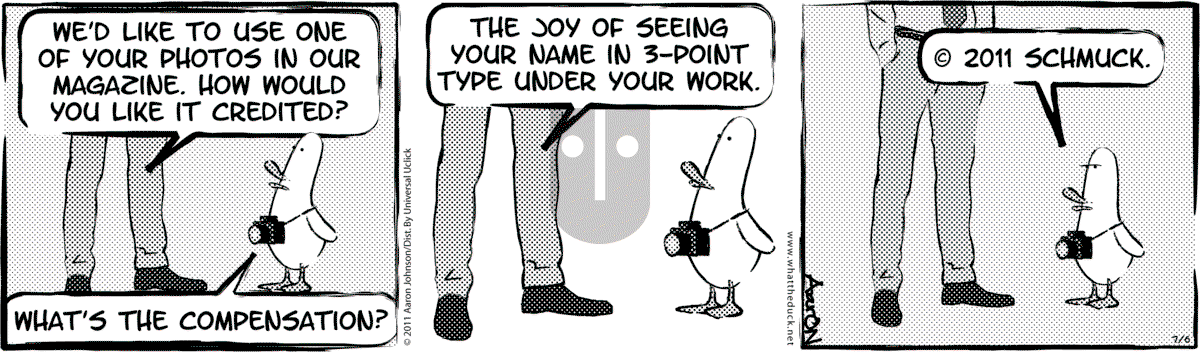 W.T. Duck - Tuesday December 19, 2023 Comic Strip