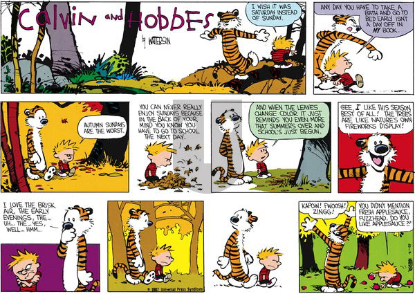 Calvin and Hobbes on Sunday October 25, 1987 Comic Strip