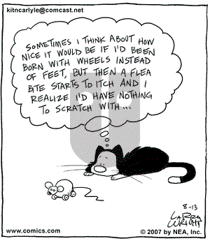 Kit 'N' Carlyle on Monday August 13, 2007 Comic Strip