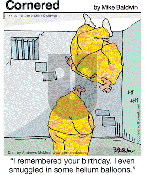 Cornered on Friday November 30, 2018 Comic Strip