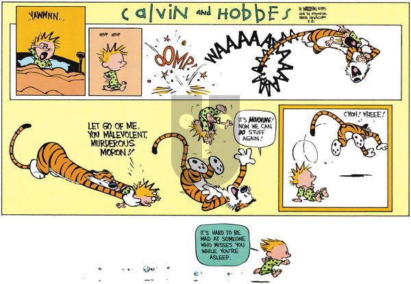 Calvin and Hobbes on Sunday May 21, 1995 Comic Strip