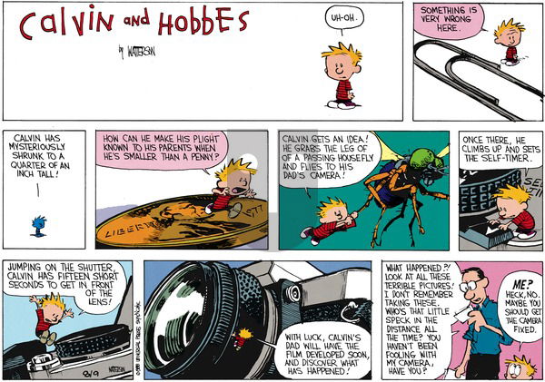 Calvin and Hobbes on Sunday October 2, 1988 Comic Strip