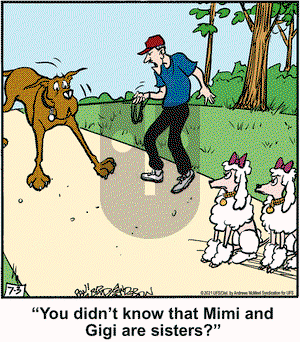 Marmaduke on Saturday July 3, 2021 Comic Strip