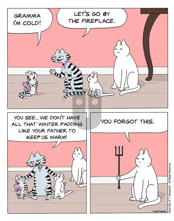Snow Sez on Sunday December 22, 2024 Comic Strip