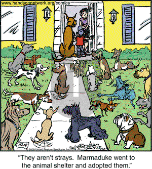 Marmaduke on Monday October 19, 2009 Comic Strip
