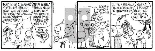 Monty on Monday February 6, 2006 Comic Strip